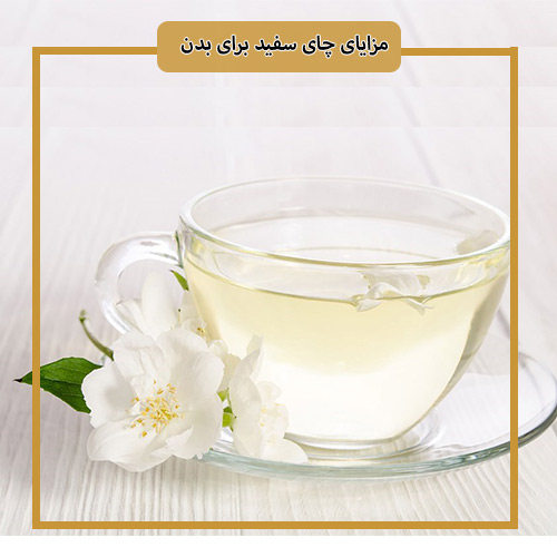 چای سفید محصول کدام کشور است؟